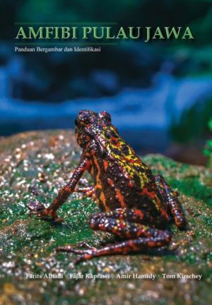Honighäuschen (Bonn) - A field guide on the amphibians of Java Island.