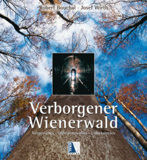 Expeditionen zu den unterirdischen Geheimnissen des Wienerwalds Eine Morgenwanderung im Wienerwald: Hell glitzernde Buchenstämme