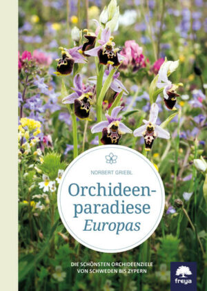 Österreich beheimatet rund 450 Orchideenarten, eine schöner als die andere. Ob die Norne in der Tundra des hohen Nordens oder die Spiegel-Ragwurz in den Wiesenfluren des Mittelmeergebietes. Alle wollen sie entdeckt und bewundert werden. Das Buch stellt 85 hervorragende Orchideengebiete von Schweden bis Zypern vor und möchte die Leser animieren, die schönsten Blumen des Kontinents kennenzulernen.