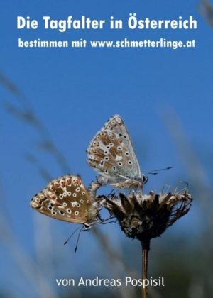Honighäuschen (Bonn) - Ein Bestimmungsbuch für Tagfalter in Österreich mit über 450 Fotos und Verlinkung auf die Homepage www.schmetterlinge.at