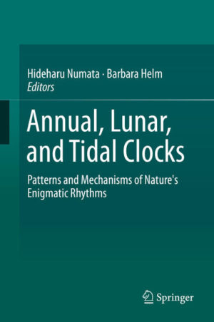 Honighäuschen (Bonn) - There is more to biological rhythms than circadian clocks. This book aims at promoting the exciting potential of a deeper understanding of circannual, circatidal, and circalunar clocks. It highlights new developments, summarizes existing knowledge, and integrates different perspectives with the tools and ideas of diverse fields of current biology. For predominantly pragmatic reasons, research in recent decades was mostly concerned with circadian clocks. Clocks on other timescales, however, have been largely neglected and therefore still appear "enigmatic". Thanks to the rapid development of methods in molecular biology as well as in ecology, we are now able to re-approach these clocks. Laboratories around the world are showing fresh interest and substantial progress is being made in many independent projects. The book's two sections address the moon-derived circatidal, circasemilunar, and lunar cycles on the one hand (10 chapters), and the sun-derived circannual cycles on the other (6 chapters). This work brings together authors with an expansive array of expertise and study systems, ranging from tidal cycles of marine invertebrates to annual cycles of birds and mammals, and from behavioral to genetic and epigenetic backgrounds. While great challenges remain to be mastered, the book aims at conveying the excitement of unraveling, broadly, the rhythms of life.