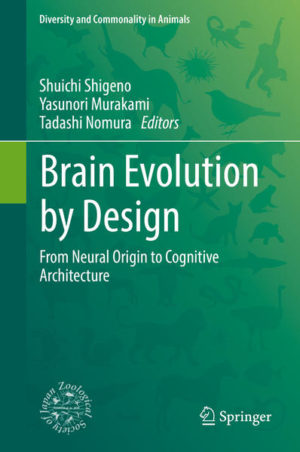Honighäuschen (Bonn) - This book presents a new, detailed examination that explains how elegant brains have been shaped in evolution. It consists of 19 chapters written by academic professionals in neuroscience, opening with the origin of single-celled creatures and then introducing primordial types in invertebrates with the great abundance of the brains of vertebrates. Important topics are provided in a timely manner, because novel techniques emerged rapidlyas seen, for examples, in the next-generation sequencers and omics approaches. With the explosion of big data, neural-related genes and molecules is now on the radar. In fact, Europes big science and technology projects, a 1 billion plan called the Human Brain Project and the Blue Brain Project to understand mammalian brain networks, have been launched in recent years. Furthermore, with the rise of recently advanced artificial intelligence, there is great enthusiasm for understanding the evolution of neural networks. The views from brain evolution in nature provide an essential opportunity to generate ideas for novel neuron- and brain-inspired computation. The ambition behind this book is that it will stimulate young scientists who seek a deeper understanding in order to find the basic principles shaping brains that provided higher cognitive functions in the course of evolution.