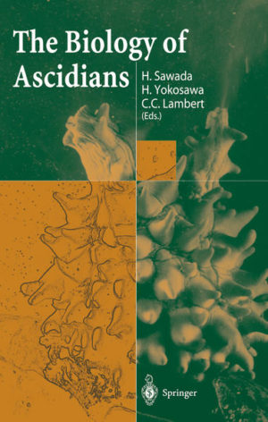 Honighäuschen (Bonn) - Ascidians are the invertebrate group that gave rise to vertebrates, thus the biology of ascidians provides an essential key to understanding both invertebrates and vertebrates. This book is the first to cover all areas of ascidian biology, including development, evolution, biologically active substances, heavy metal accumulation, asexual reproduction, host-defense mechanisms, allorecognition mechanisms, comparative immunology, neuroscience, taxonomy, ecology, genome science, and food science. The 69 articles that make up the collection were contributed by leading ascidiologists from all over the world who participated in the First International Symposium on the Biology of Ascidians, held in June 2000 in Sapporo, Japan. For scientists and students alike, the book is an invaluable source of information from the latest, most comprehensive studies of ascidian biology.