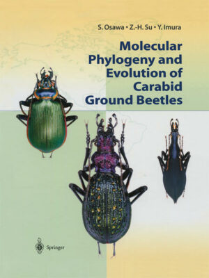 Honighäuschen (Bonn) - Carabid ground beetles, sometimes called "walking jewels", are among the most thoroughly investigated insects in the world. This book presents the results of molecular phylogenetic analyses of 2000 specimens, including 350 species and that cover more than 90% of the known genera, from 500 localities in 35 countries. These comprehensive analyses using mitochondrial DNA-based dating suggest that carabid diversification took place about 40 to 50 million years ago as an explosive radiation of the major genera, coinciding with the collision of the Indian subcontinent and Eurasian land mass. The analyses also lead to surprising conclusions suggesting discontinuous evolution and parallel morphological evolution. With numerous color illustrations, this book presents readers with the dynamic principles of evolution and the magnificent geographic history of the earth as revealed by the study of beetles.