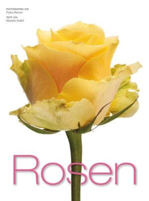 Honighäuschen (Bonn) - Rosen sind die Schönsten, ohne Zweifel. Vom einzelnen Stiel zum künstlerischen Bouquet sind ihre Möglichkeiten atemberaubend. Entdecken Sie jetzt die interessantesten Schnittrosen, ihre Geschichte, Charakteristika und spezialisierte Züchter. Ob Avalanche oder Bohème: Jede einzelne Blüte zaubert ein Lächeln in unsere Herzen. Dies möchten wir mit diesem großartigen Bildband weitergeben.
