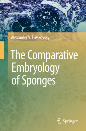 Honighäuschen (Bonn) - One of the major questions in the evolution of animals is the transition from unicellular to multicellular organization, which resulted in the emergence of Metazoa through a hypothetical Urmetazoa. The Comparative Embryology of Sponges contains abundant original and literary data on comparative embryology and morphology of the Porifera (Sponges), a group of 'lower Metazoa'. On the basis of this material, original typization of the development of Sponges is given and the problems concerning origin and evolution of Porifera and their ontogenesis are discussed. A morphogenetic interpretation of the body plan development during embryogenesis, metamorphosis and asexual reproduction in Sponges is proposed. Special attention is given to the analysis of characteristic features of the ontogenesis in Porifera. The book pursues three primary goals: 1) generalization of all existing information on individual development of sponges, its classification and a statement according to taxonomical structure of Porifera