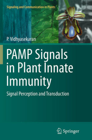 Honighäuschen (Bonn) - Plant innate immunity is a potential surveillance system of plants and is the first line of defense against invading pathogens. The immune system is a sleeping system in unstressed healthy plants and is activated on perception of the pathogen-associated molecular patterns (PAMP