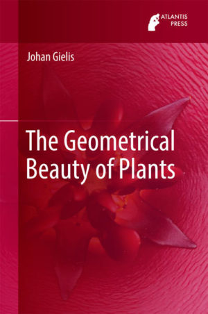 Honighäuschen (Bonn) - This book focuses on the origin of the Gielis curves, surfaces and transformations in the plant sciences. It is shown how these transformations, as a generalization of the Pythagorean Theorem, play an essential role in plant morphology and development. New insights show how plants can be understood as developing mathematical equations, which opens the possibility of directly solving analytically any boundary value problems (stress, diffusion, vibration...) . The book illustrates how form, development and evolution of plants unveil as a musical symphony. The reader will gain insight in how the methods are applicable in many divers scientific and technological fields.