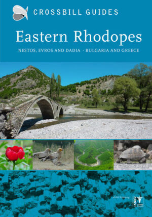 Eastern Rhodopes: Nestos, Evros and Dadia - Bulgaria and Greece | Dirk Hilbers