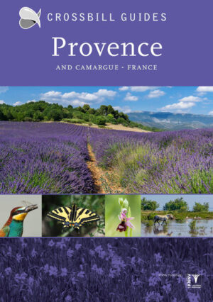Provence: and Camargue | Dirk Hilbers