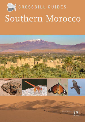 Southern Morocco | Martin Pitt