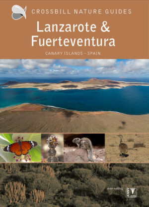 Lanzarote and Fuerteventura: Spanien | Dirk Hilbers