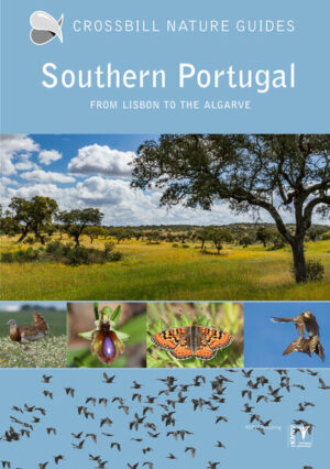 Southern Portugal: from Lisbon to the Algarve | Dirk Hilbers