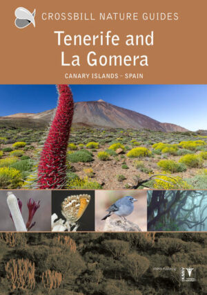 Tenerife and La Gomera: Canary Islands - Spain | Dirk Hilbers