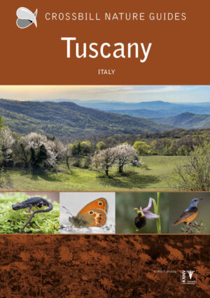 Tuscany: Italy | Graham Chisholm