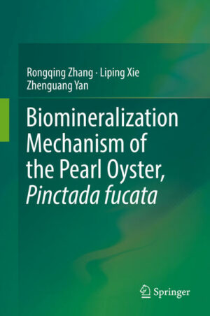 This book presents an overview of our current understanding of the biomineralization mechanisms for shell formation in the pearl oyster Pinctada fucata, based on molecular biology, biochemistry, cell biology, structural biology and environmental biology. Pinctada fucata is the major pearl-producing shellfish in the South China Sea and is also an established model system for the research on the nacre biomineralization mechanism. Extensive studies on nacre biomineralization have provided valuable information for novel bionic material design. Discussing the isolation and gene cloning of the matrix proteins involved in the shell formation, as well as the cell signaling pathways, shell microstructures, and the environmental impacts on shell biomineralization, it is a valuable reference resource for researchers working in the field of nacre biomineralization and biomaterials.