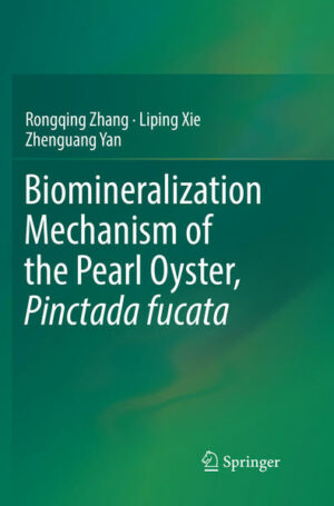 Honighäuschen (Bonn) - This book presents an overview of our current understanding of the biomineralization mechanisms for shell formation in the pearl oyster Pinctada fucata, based on molecular biology, biochemistry, cell biology, structural biology and environmental biology. Pinctada fucata is the major pearl-producing shellfish in the South China Sea and is also an established model system for the research on the nacre biomineralization mechanism. Extensive studies on nacre biomineralization have provided valuable information for novel bionic material design. Discussing the isolation and gene cloning of the matrix proteins involved in the shell formation, as well as the cell signaling pathways, shell microstructures, and the environmental impacts on shell biomineralization, it is a valuable reference resource for researchers working in the field of nacre biomineralization and biomaterials.