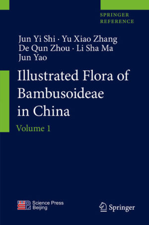 Honighäuschen (Bonn) - This book was compiled by researchers of Chinese Academy of Forestry, Sichuan Agricultural University, Southwest Forestry University, Kunming University of Science and Technology, and Chinese Academy of Sciences. It has been the most comprehensive monograph about the bamboo resources in China until now. "Illustrated Flora of Bambusoideae in China" is composed of two volumes. Volume 1 contains prefaces written by Shougong Zhang and Dezhu Li and the foreword by the authors, and 28 chapters, i.e., Morphology of Bamboos, Geographical Distribution of Bambusoideae, Hardiness Zones of Bambusoideae in China, 16 genera of the tribe Bambusese (Bambusa, Bonia, Cephalostachyum, Dendrocalamopsis, Dendrocalamus, Gigantochloa, Guadua, Leptocanna, Lingnania, Melocalamus, Melocanna, Neomicrocalamus, Neosinocalamus, Pseudostachyum, Schizostachyum, Thyrsostachys), and 9 genera of the tribe Arundinarieae (Brachystachyum, Chimonobambusa, Hibanobambusa, Indosasa, Phyllostachys,Qiongzhuea, Semiarundinaria, Shibataea, Sinobambusa). Totally, 512 bamboo taxa are recorded in volume 1, including 4 hybrids, 119 forms, 38 varieties, and 351 species in 25 genera.