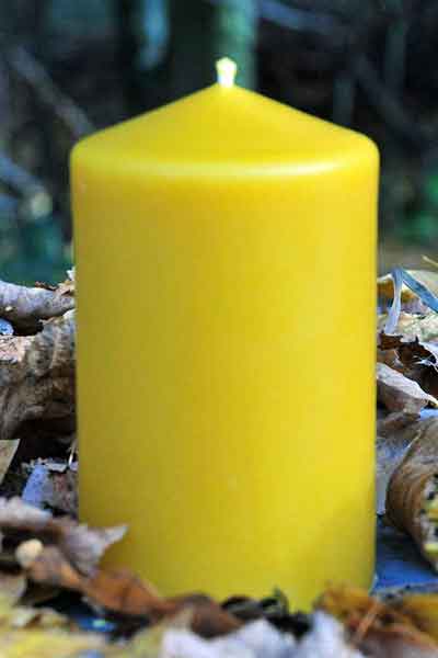 Die "Bienenwachsstumpen 55 mm", Kerzen aus 100 % reinem Bienenwachs, wurden von Hand gegossen und gefertigt in der Bioland Imkerei Dühnen. Sie sind erhältlich in vier verschiedenen Höhen und eignen sich hervorragend für den Adventskranz. Foto: Barbara Frommann).