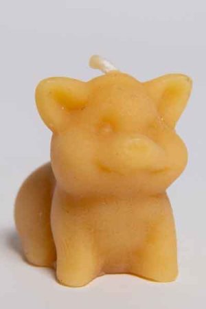 Die Bienenwachstierfigur "Kleines Schweinchen", eine Kerze aus 100 % reinem Bienenwachs, wurde von Hand gegossen und gefertigt in der Bioland Imkerei Dühnen.